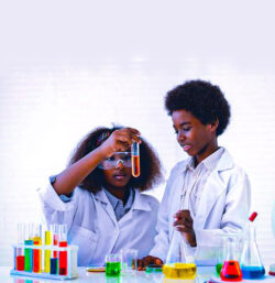 lab